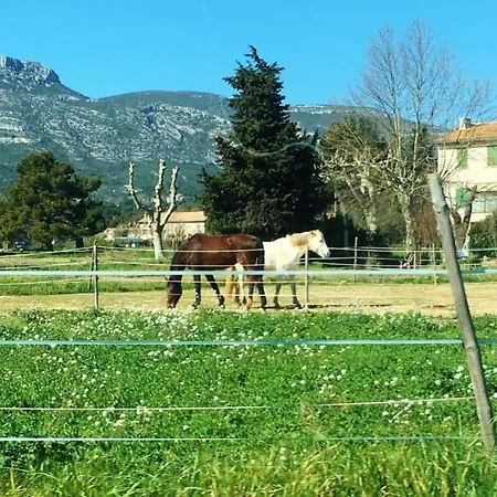 Le Clos Des Collines Jacuzzi 3 Etoiles De France * Marseille